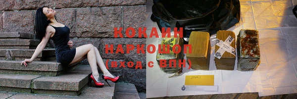 стафф Алексин
