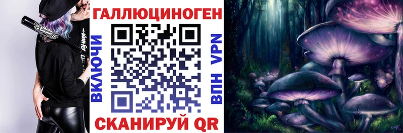 Псилоцибиновые грибы прущие грибы  Купить  Краснообск 